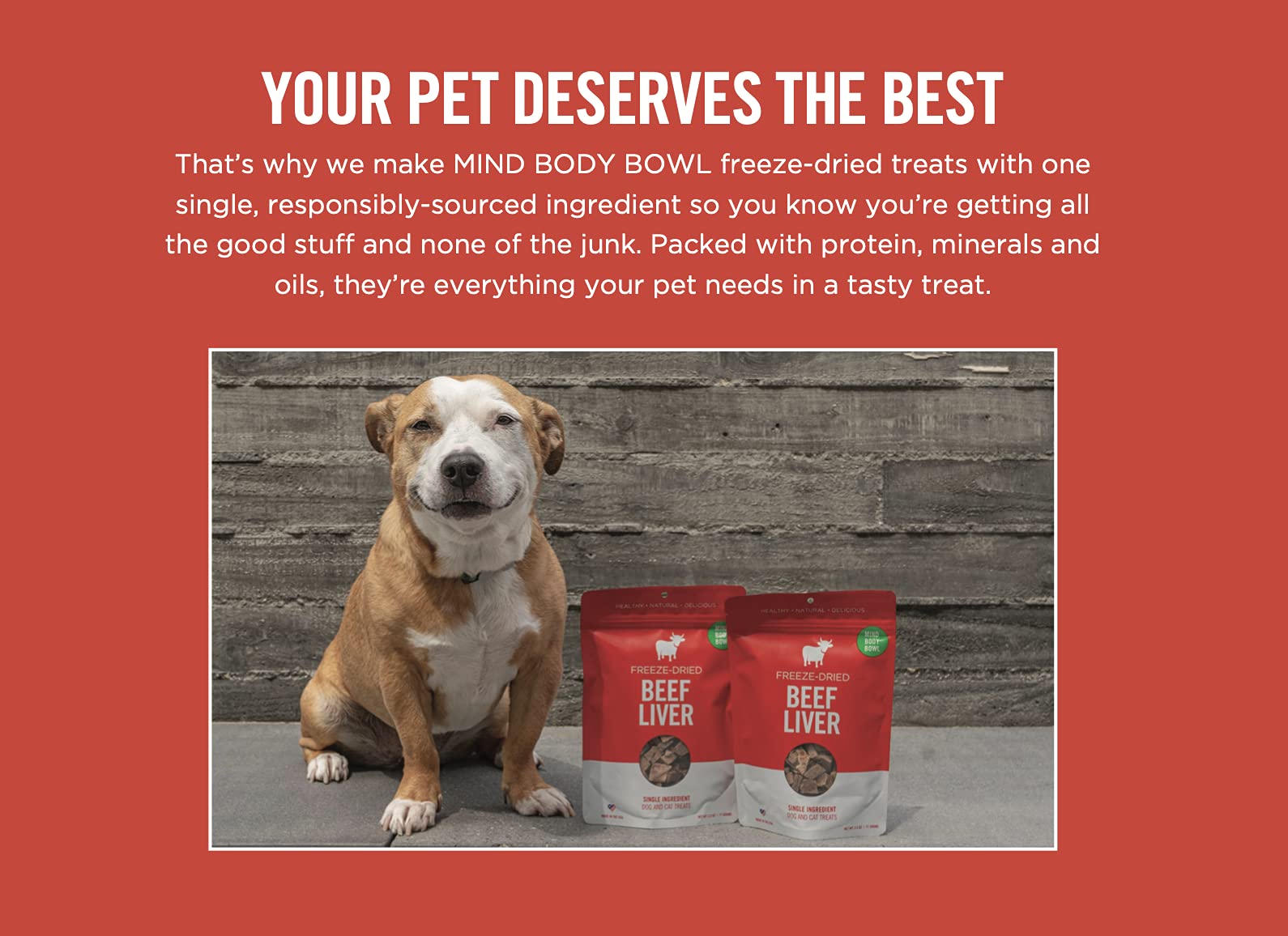 Healthy Spot Mind Body Bowl - 2.5 oz Freeze-Dried Beef Liver Dog & Cat Treats - All-Natural Healthy Pet Snacks for Training & Rewards - Perfect for Small Breeds & Picky Eaters