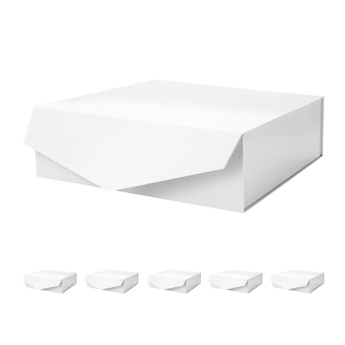 13.5x9x4.1 Inch-White-Pack of 6