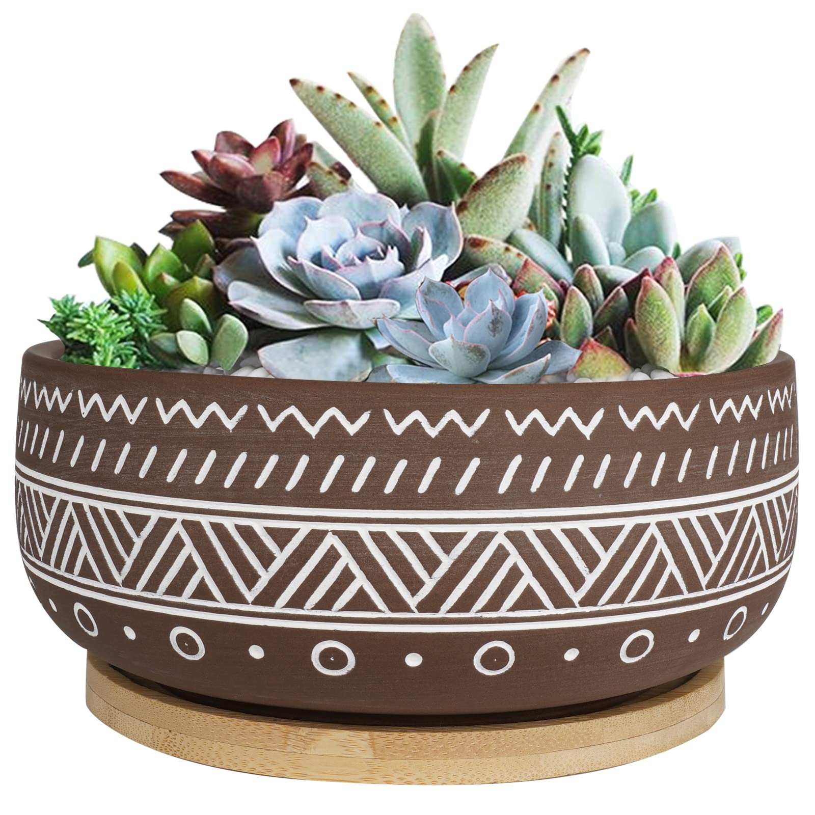 Thirtypot 8 Inch Large Round Terracotta Succulent Planter with Drainage Hole & Saucer - Shallow Bonsai Pot for Indoor Plants, Cactus, Herbs - Perfect for Home Decor, Office Desk, Windowsill Garden (Brown)