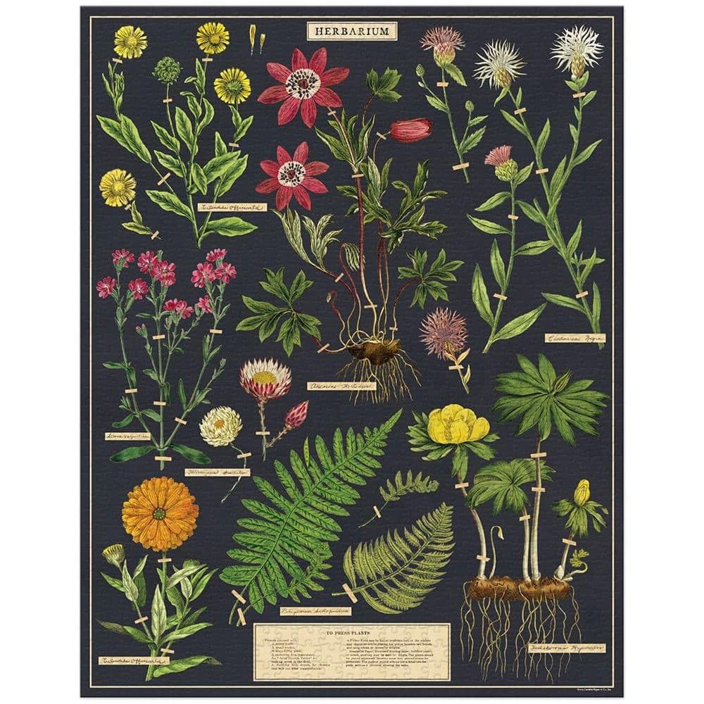 Cavallini 1000 Piece Jigsaw Puzzle - Herbarium Botanical Collection (PZL/HERBARIUM) | Perfect for Family Game Night & Home Decor