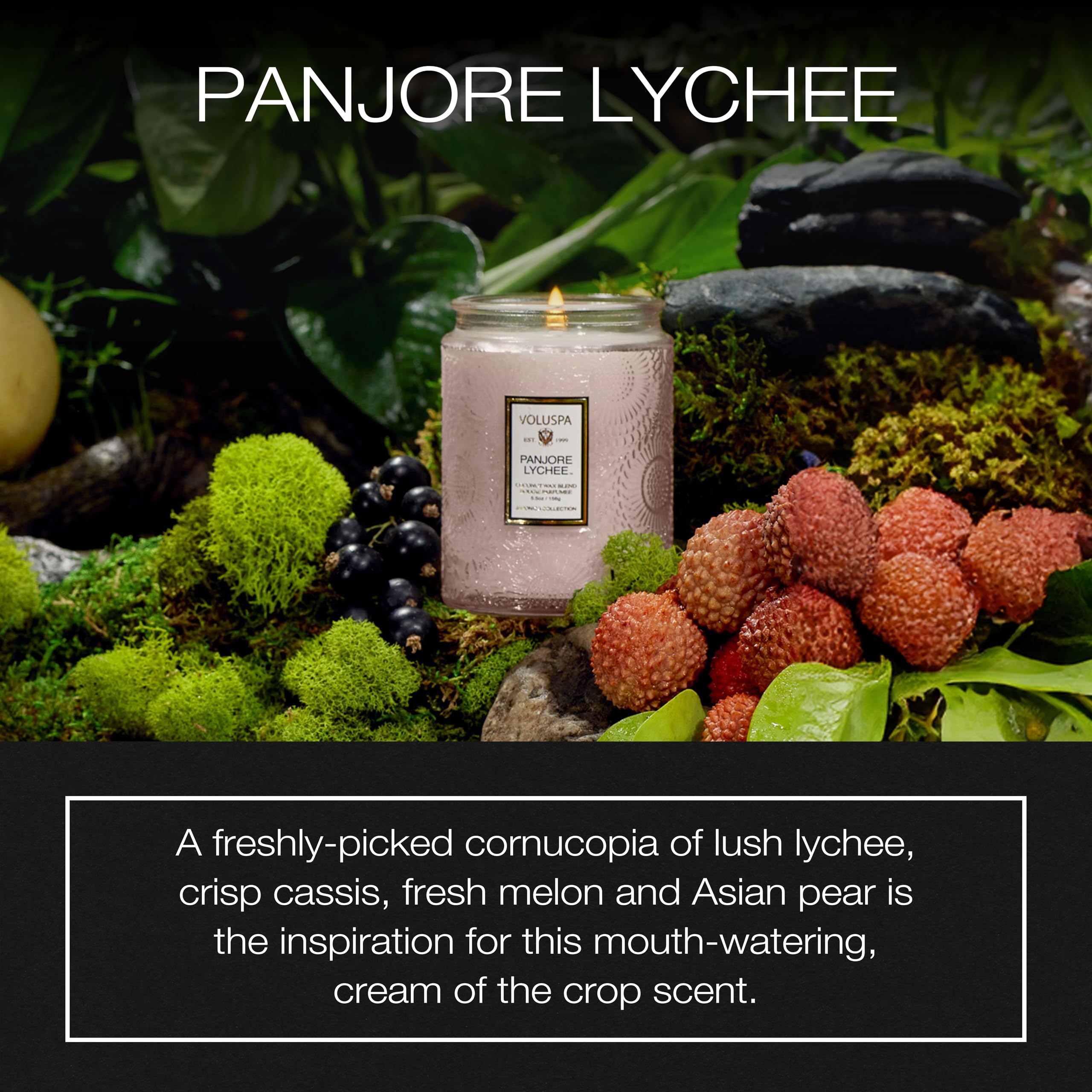 Voluspa Panjore Lychee Scented Candle - 5.5 oz Coconut Wax Jar Candle, 50 Hour Burn Time, Handcrafted in USA | Clean Burning, Home Decor, Romantic Ambiance, Spa Relaxation Gift