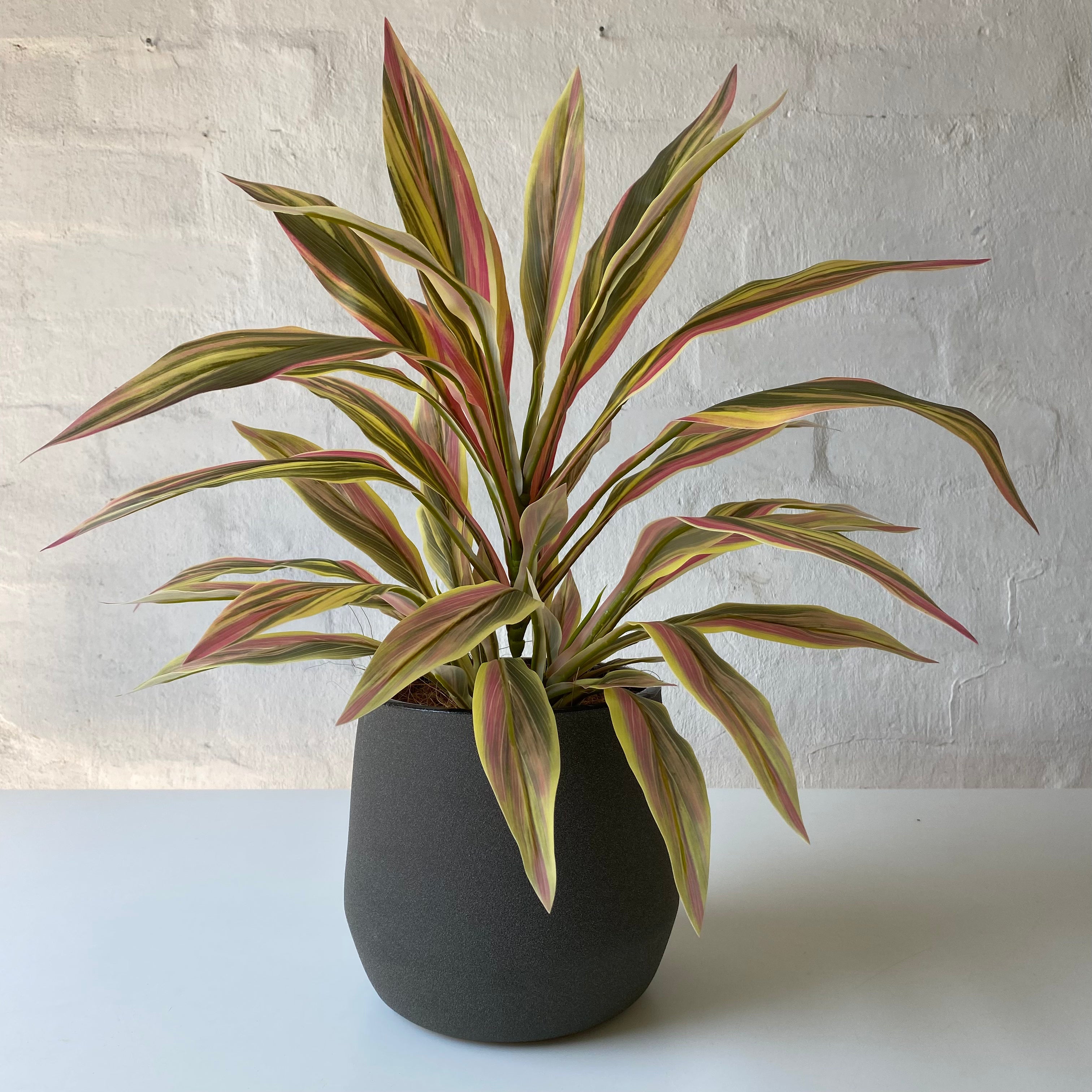 Artificial Sun Dracaena Bush - 3 Pack Fake Plants for Home Decor, Office Desk & Indoor Greenery - Low Maintenance UV Resistant Faux Dracaena Plant for Living Room, Bedroom, Bathroom & Workspace Decor