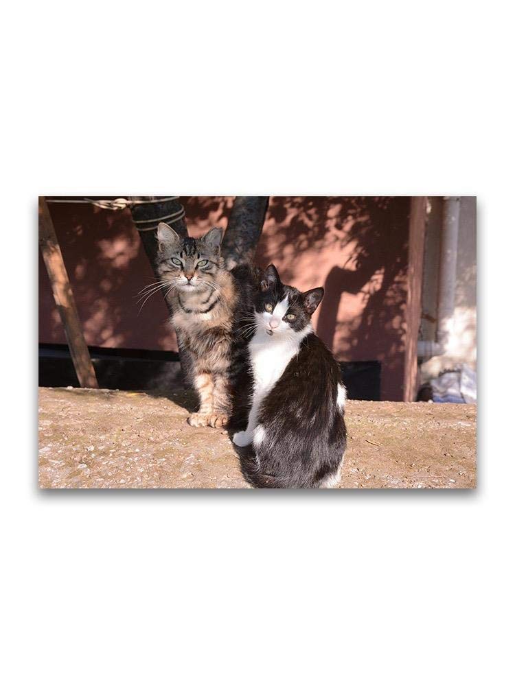Curious Cat Buddies Poster Set - Playful Feline Wall Art for Home & Office Decor - Perfect for Cat Lovers, Living Rooms, Bedrooms, and Gifts
