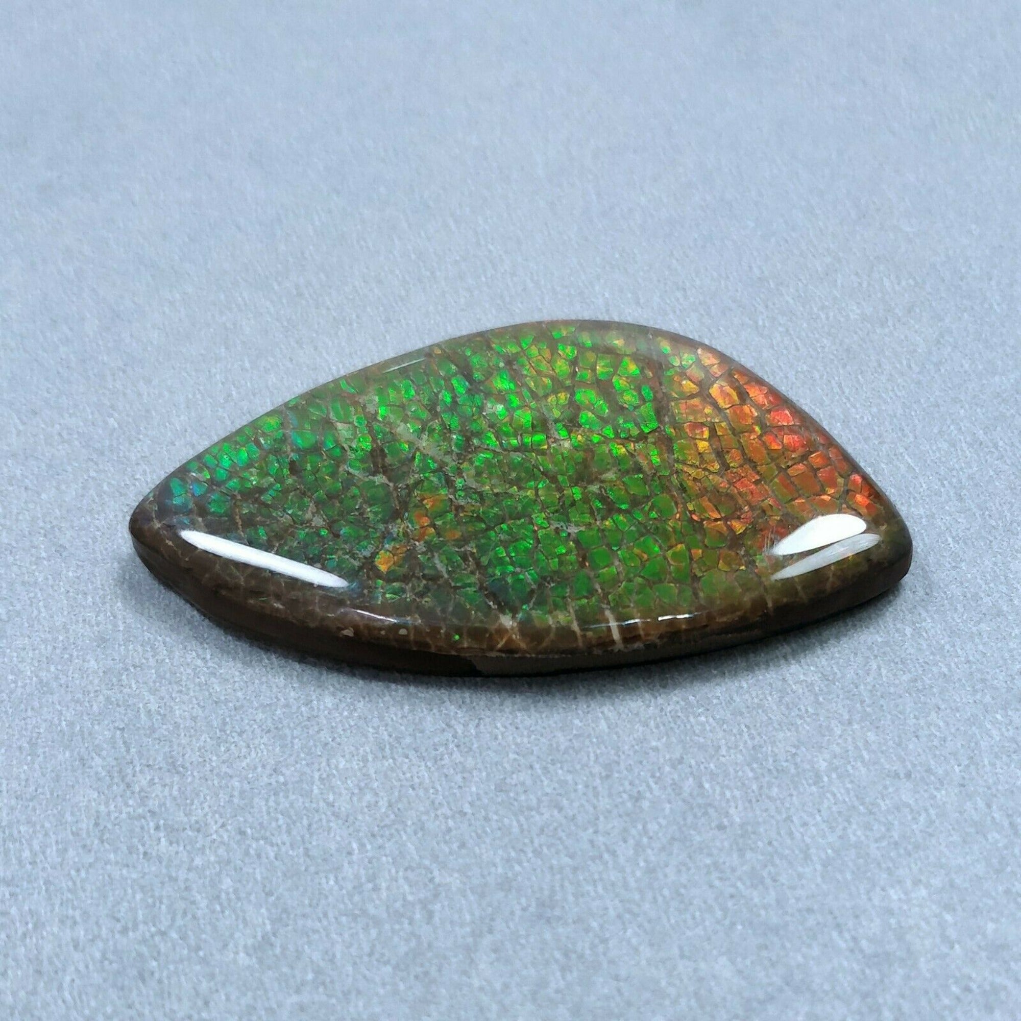 Natural AMMOLITE Gemstone Cabochon 69.00cts Bi-Color Fossilized Shell - 31x52mm Unique Uneven Shape (Video Included) - Perfect for Jewelry Making, Mineral Collections & Healing Crystals