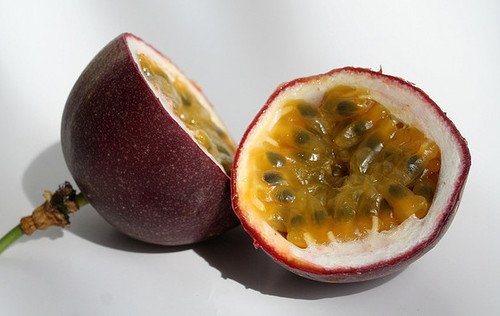 Passiflora 'Frederick' Edible Purple Passion Flower Fruit Vine - Live Tropical Plant for Home Garden | Grow Your Own Exotic Fruits | Perfect for Landscaping, Backyard Orchard & Fresh Smoothies