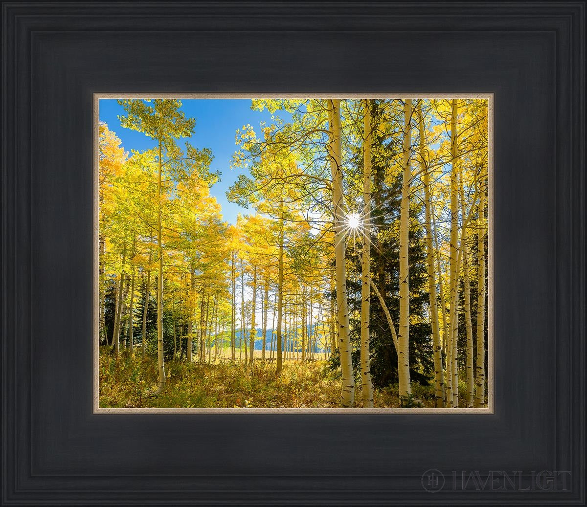Autumn in the Rocky Mountains - Stunning Fall Foliage at Wasatch National Forest Utah | Perfect for Hiking, Photography & Nature Exploration