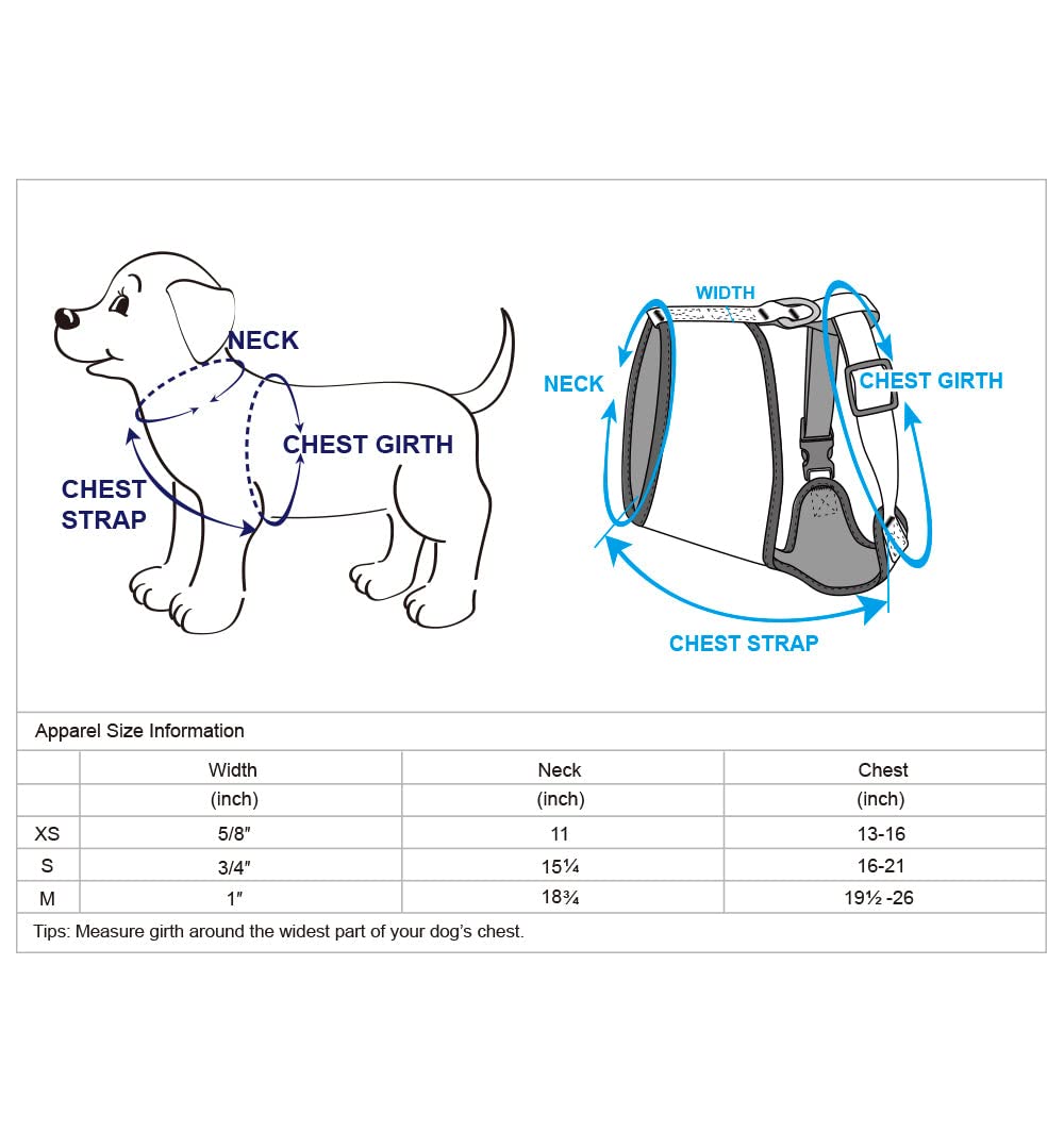 Premium Blueberry Pet Dog Harness - Soft & Comfy Turquoise Floral Design, No-Pull Adjustable Harness for Medium & Large Dogs (Perfect for Walking, Hiking & Outdoor Adventures)