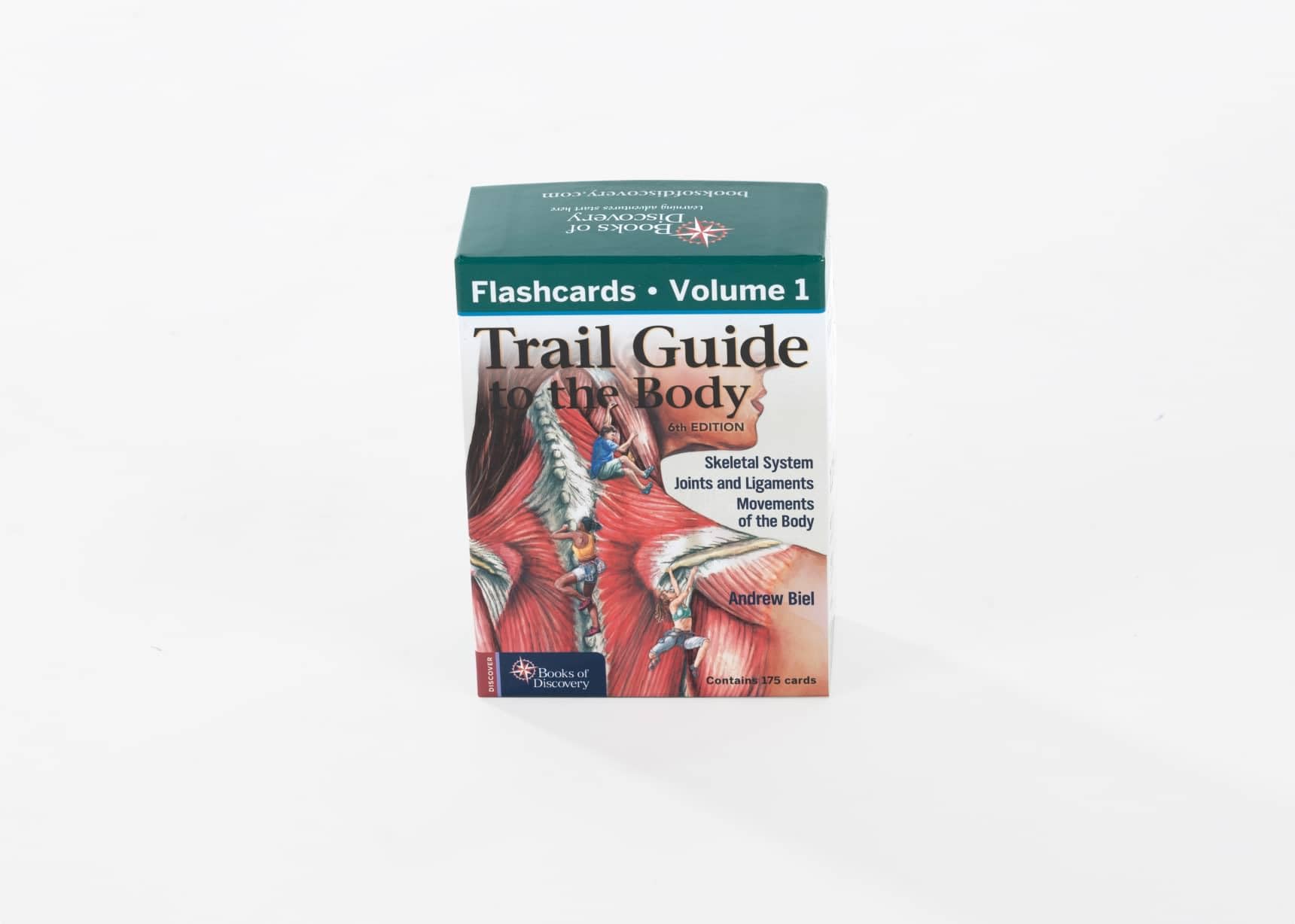 Trail Guide to The Body Flashcards, Vol. 1 - Musculoskeletal Anatomy Study Cards for Students & Professionals | Perfect for Medical School, Massage Therapy & Physical Therapy Training