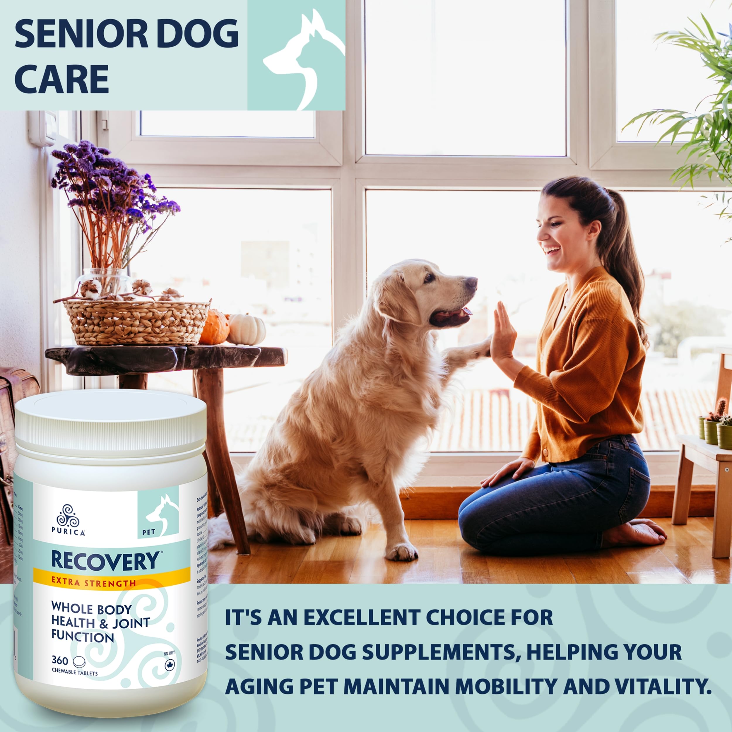 PURICA Pet Recovery Extra Strength - Advanced Joint Supplement for Dogs & Cats | Hip & Joint Care Support | Improves Mobility & Overall Health | 360 Count | Ideal for Active Pets & Senior Animals
