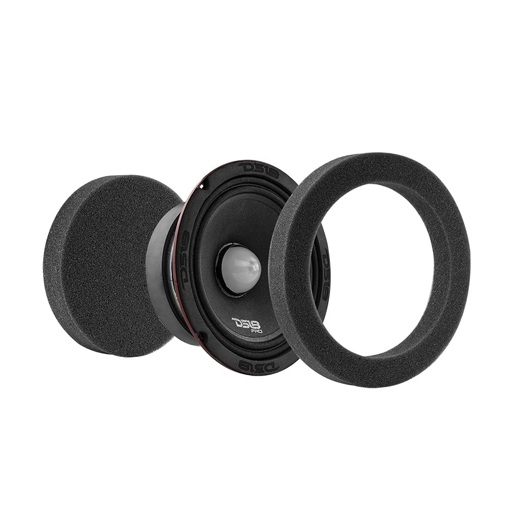 DS18 PRO-ZT6 & DSFR6 6.5
