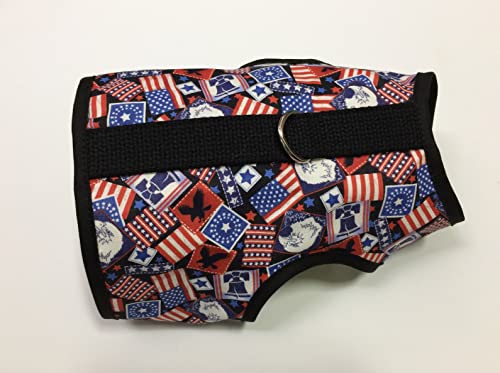 Patriot