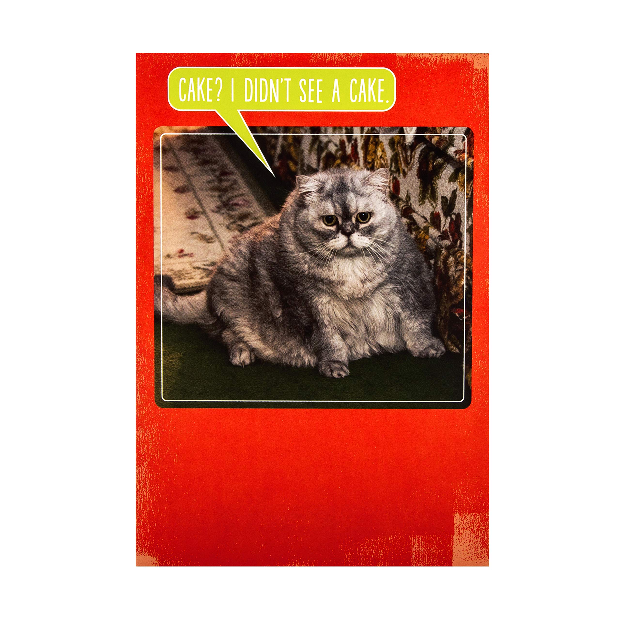 Hallmark Studio Funny Birthday Card with Photographic Cat & Cake Design - Perfect for Cat Lovers & Birthday Celebrations