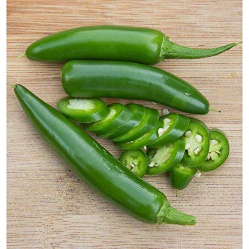 Sureno F1 Hybrid Hot Pepper Seeds - 80 Count Pack for Home Gardening, Container Planting & Spicy Cooking | High-Yield Chili Seeds for Salsas, Sauces & Mexican Dishes