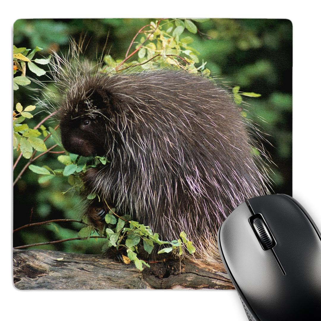 3D Rose USA Montana Kalispell Porcupine and Rose HIPS Mouse Pad - 8 x 8 Inch Non-Slip Rubber Base Matte Finish Gaming & Office Desk Accessory for Computer Laptop Workstation Home Office Decor