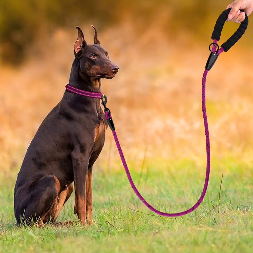 Plutus Pet Heavy Duty Rope Dog Leash with Comfortable Padded Handle - Reflective, Durable 4/5/6 FT Leash for Small, Medium & Large Dogs (1/2
