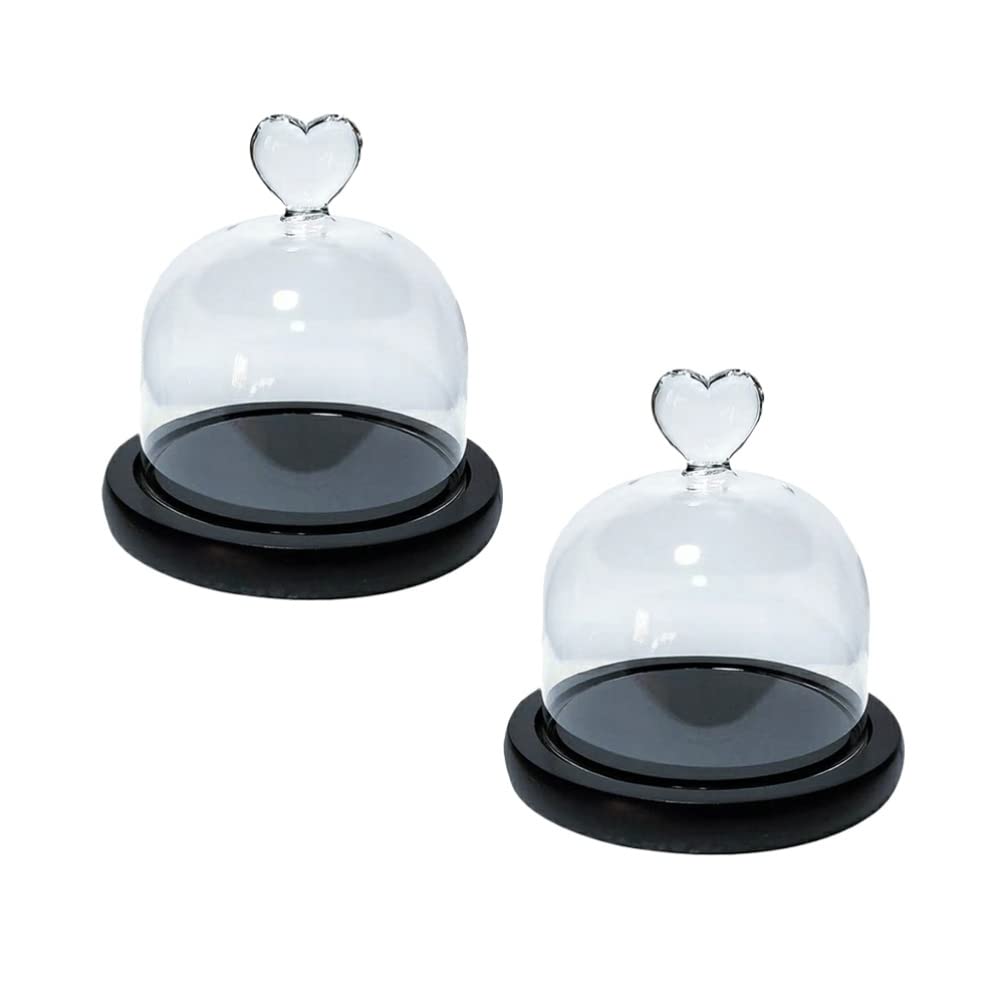 2Pcs Glass Dome Cloche with LED Lights - Clear Bell Jar with Base for Eternal Flowers, Cupcakes, Dessert Display, Plant Terrarium | Perfect for Home Decor, Garden Party, Wedding Centerpiece & Gift Packaging