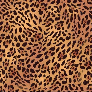 Classic Leopard