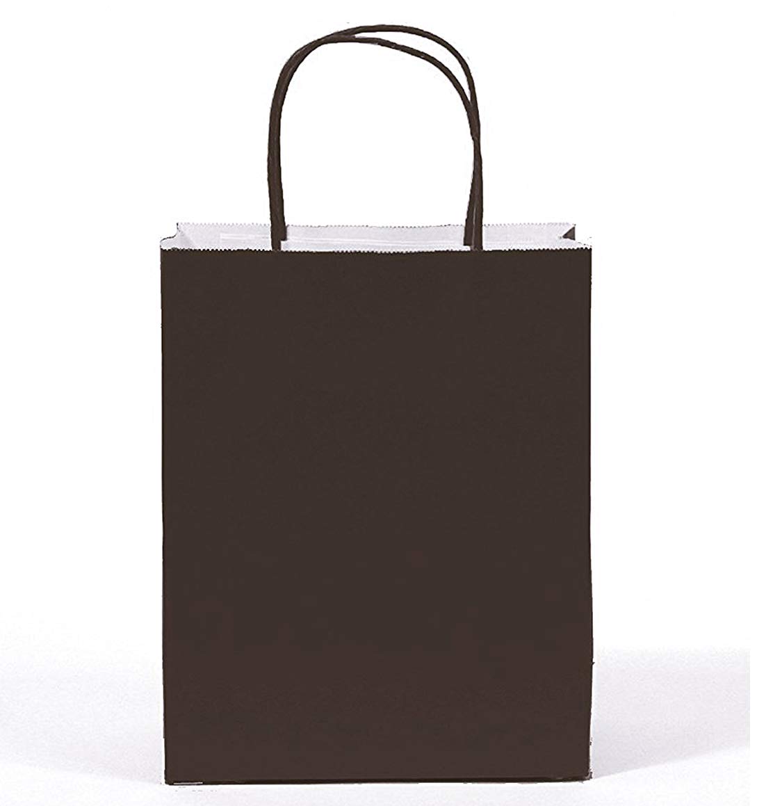 Premium Black Kraft Paper Bags - Large Size (240 Count per Box) | Eco-Friendly, Durable & Versatile for Retail, Grocery, Gift Packaging & Parties