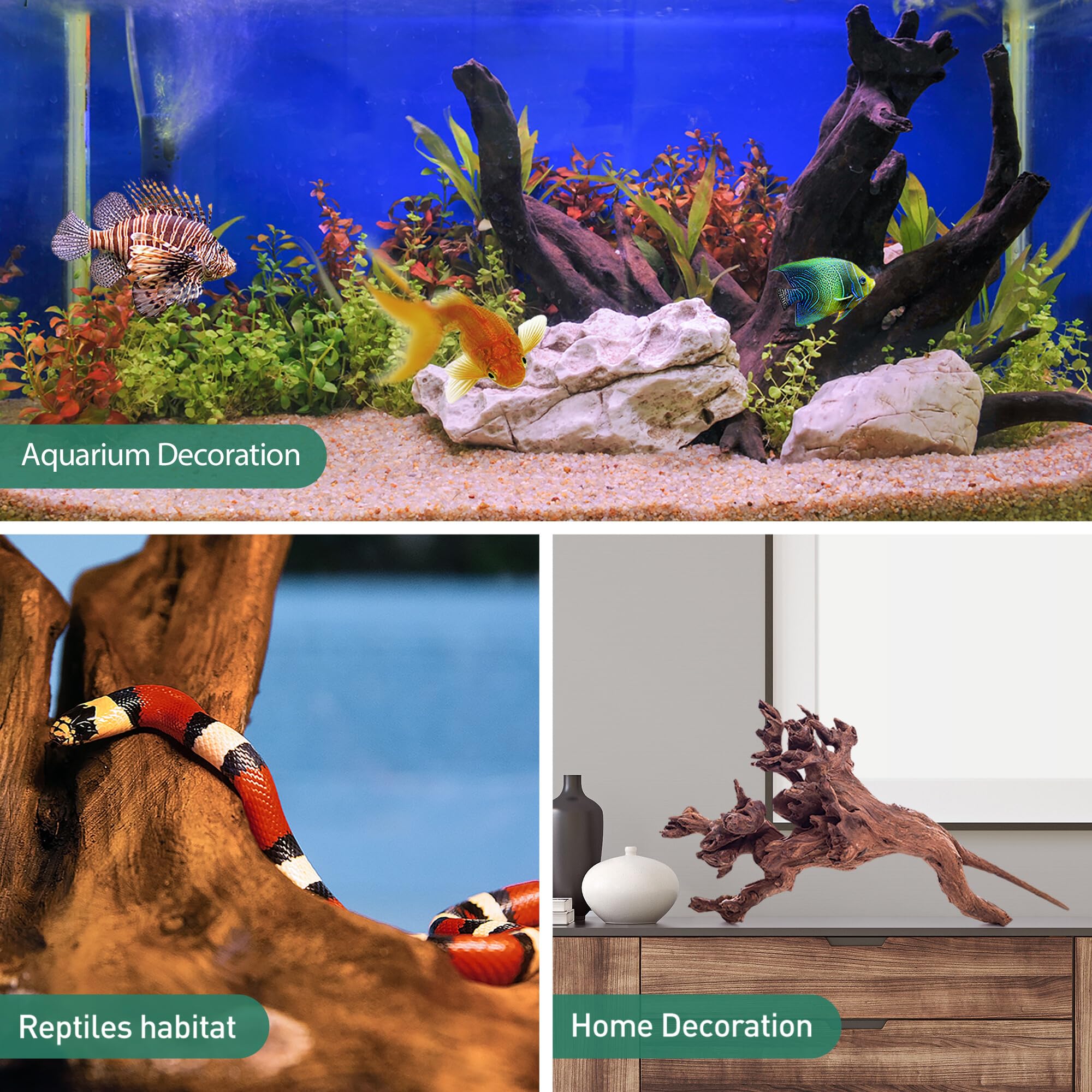 WDEFUN Natural Driftwood for Aquarium Decor - 3-Piece Set (7''-11'') Large Driftwood for Fish Tank, Reptile Terrarium & Air Plants - Perfect for Bearded Dragon Habitats, Aquascaping & Home Décor