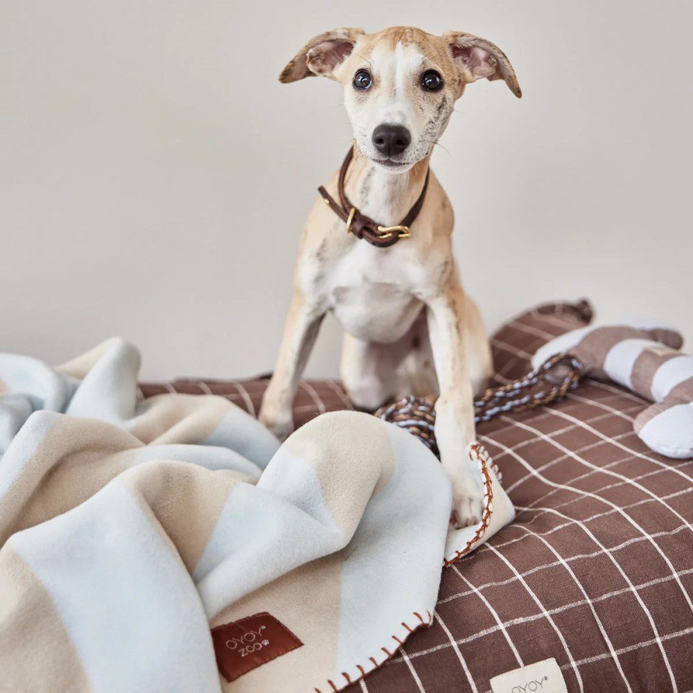 OYOY ZOO Kaya Dog Blanket - Soft & Cozy Pet Blanket for Dogs & Cats, Ice Blue, 2 Sizes (Small & Large) - Perfect for Couch, Bed & Travel Use