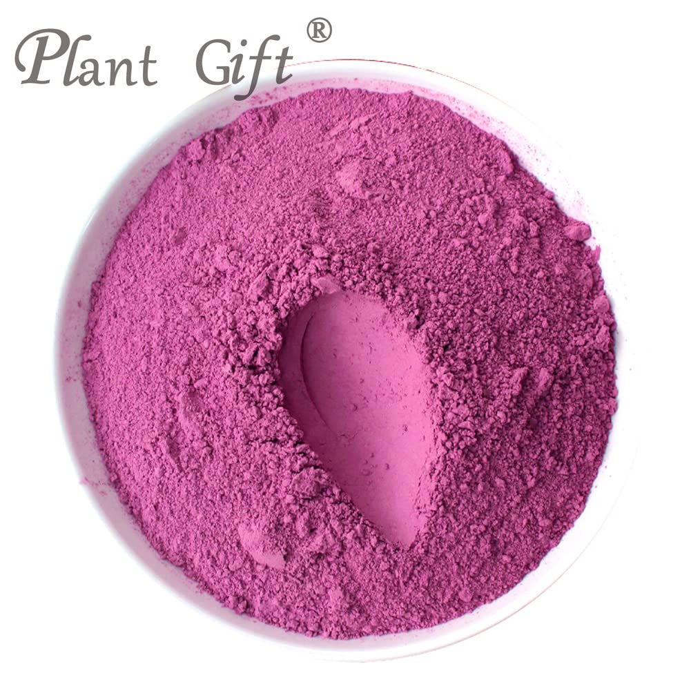 100% Pure Organic Rose Powder - Natural Rose Petal Powder for Smoothies, Baking, Drinks & Beauty (Non-GMO, No Fillers, 3.25oz) - Perfect for Tea, Yogurt, Cakes & DIY Skincare