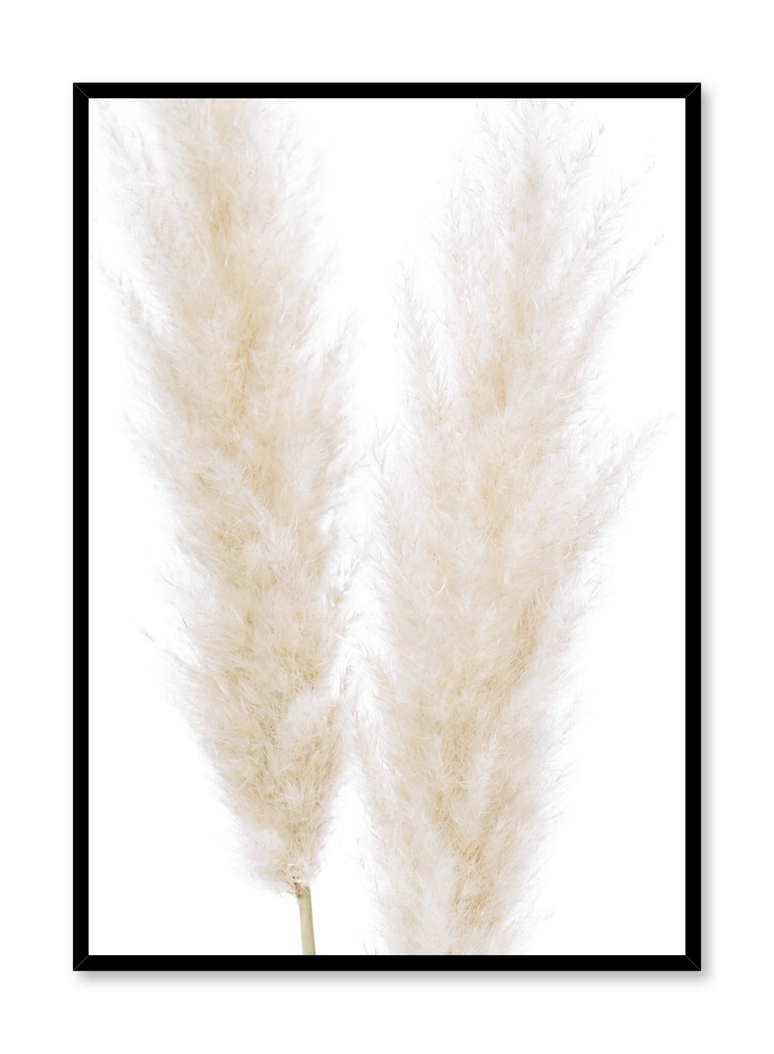 Ornamental Grasses Poster - Beautiful Landscape Wall Art Decor for Home & Office - Perfect for Living Room, Bedroom, or Garden Inspiration