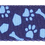 C-Blue Paw
