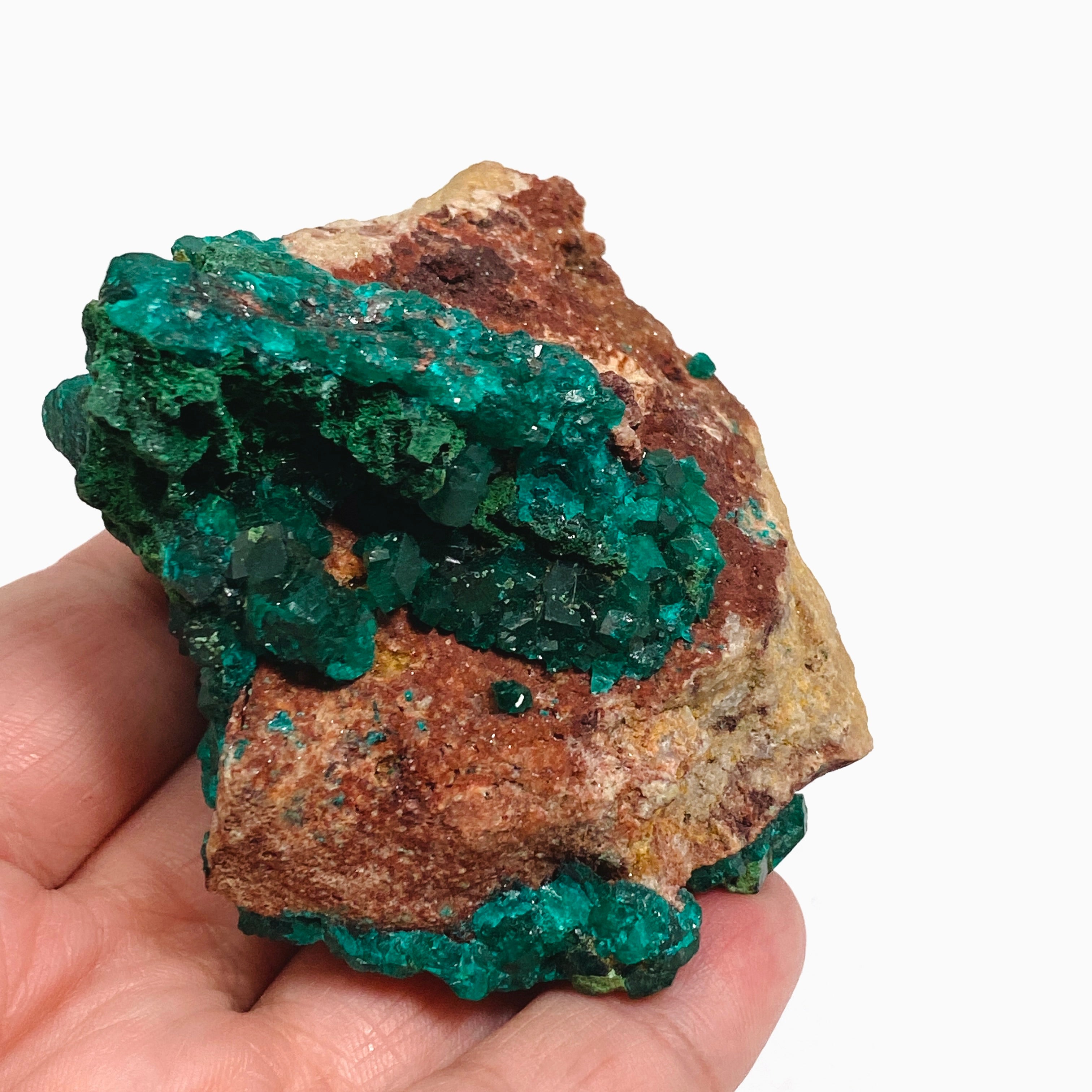 Natural Dioptase with Malachite Crystal Specimen from Congo CR3746 - Perfect for Mineral Collectors & Home Decor