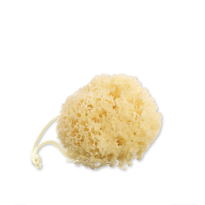 All-Natural Sea Sponge for Bath & Shower | Eco-Friendly & Hypoallergenic | Perfect for Sensitive Skin & Eco-Conscious Living