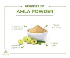 Organic Amla Powder for Hair Growth & Skin Care | 100% Pure Gooseberry Powder for Hair Nourishment, Repair & Healthy Eating | Natural Ayurvedic Superfood for Smoothies, Hair Masks & Wellness (250g)
