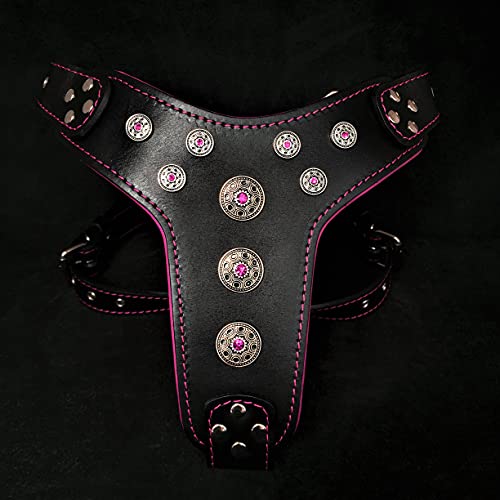 Black & Pink