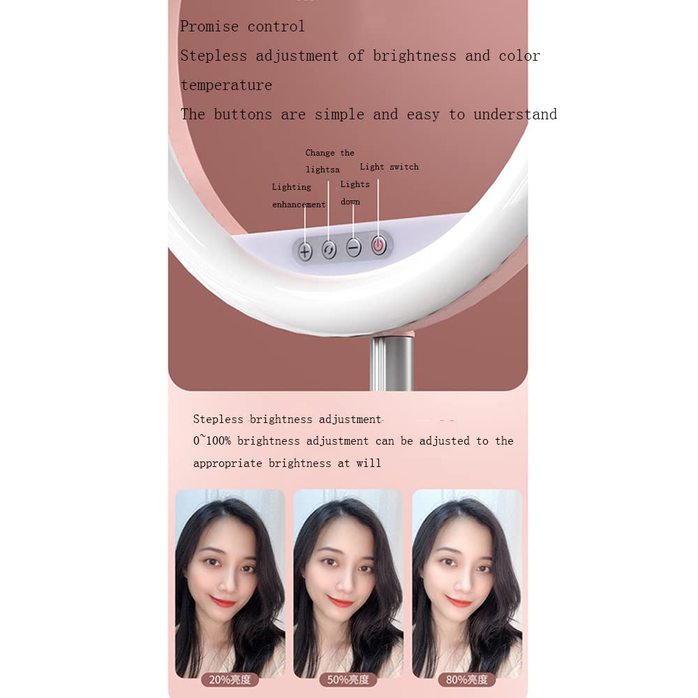 MINJUK Ring Light with Stand for Live Streaming, Selfie, Photography - Adjustable Floor & Desktop Fill Light with Telescopic Folding Tripod, Beauty Lighting for YouTube/TikTok (Black) - Perfect for Home Studio, Makeup Vanity & Content Creation