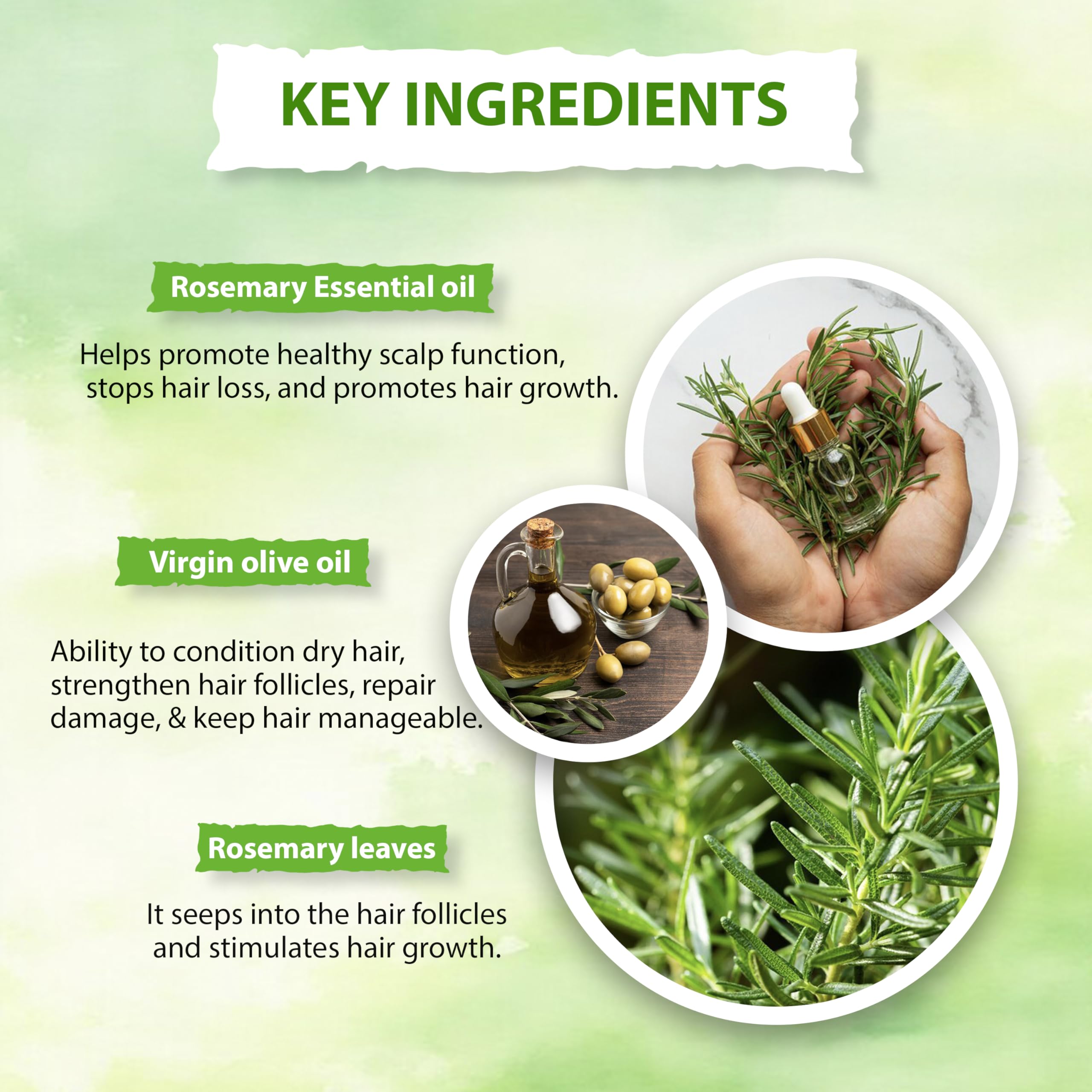 Jophiel Belle Rosemary Hair Oil with Virgin Olive Oil – Nourishing & Strengthening Formula for Hair Growth & Scalp Health – 100ml – Perfect for Dry, Damaged Hair & Daily Hair Care Routine
