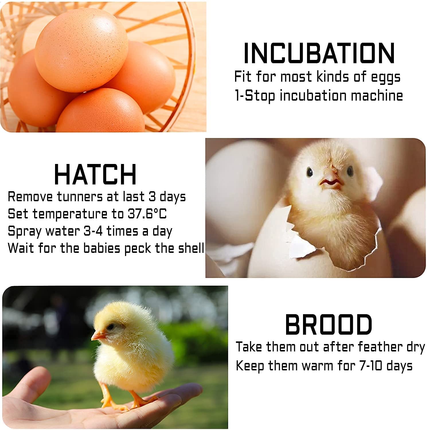 Digital Mini Automatic Egg Incubator for 6 Eggs - Temperature Control & Auto Egg Turner for Hatching Chicken, Turkey, Goose, Quail - Perfect for Home Poultry Farming & Backyard Hatching Projects