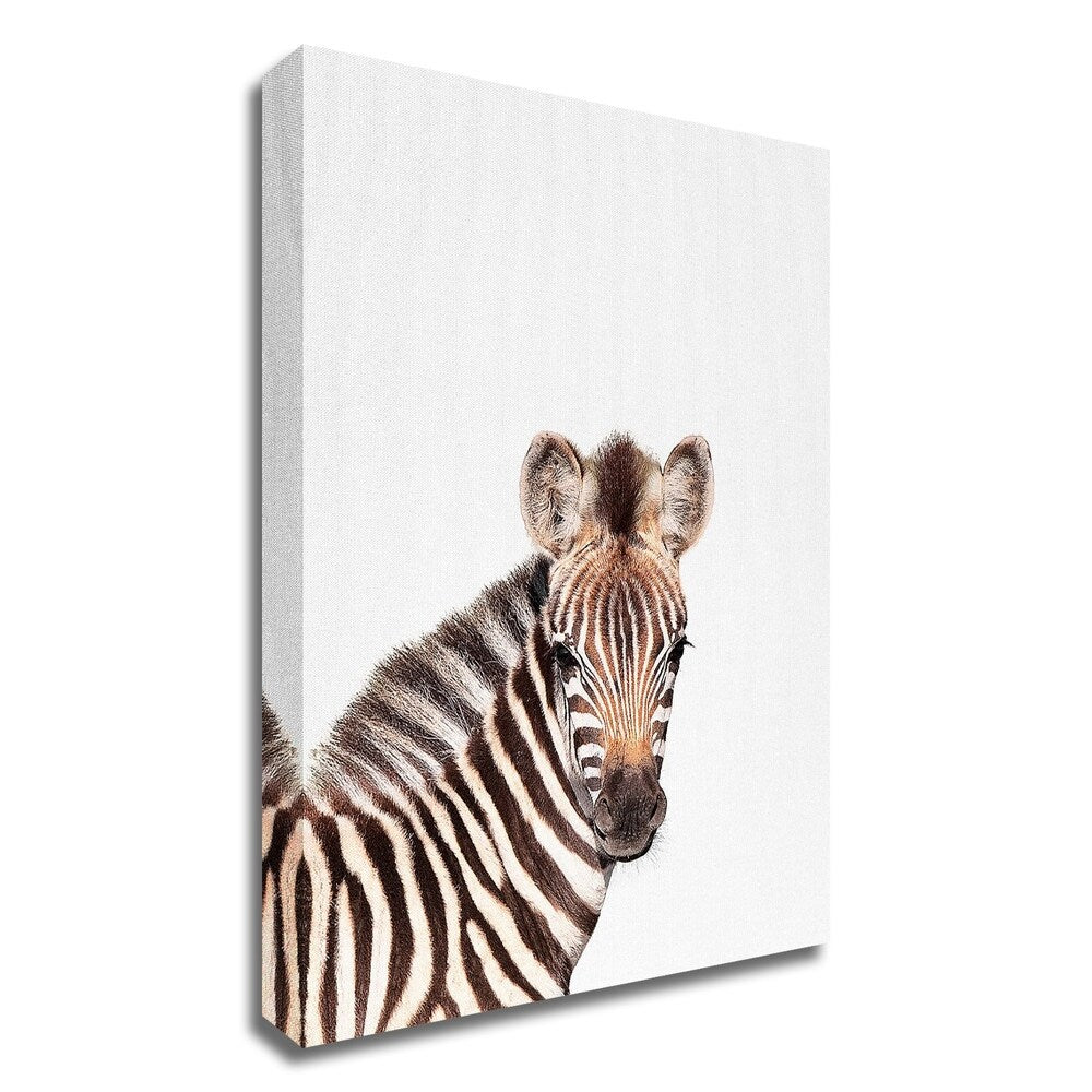 Baby Zebra Canvas Wall Art by Tai Prints - High-Quality Ready to Hang Print for Nursery, Kids Room & Home Decor