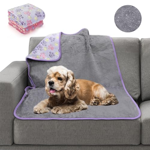 Purple+pink(2pack)