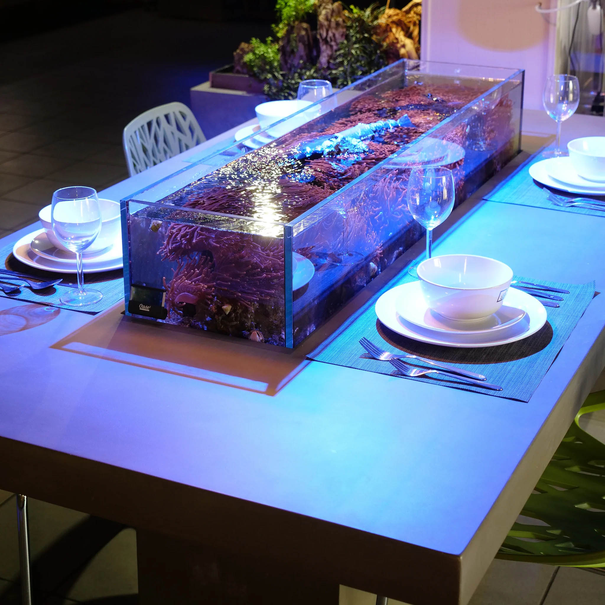Modern Glass Aquarium Coffee Table with LED Lights - Unique Dining Room Centerpiece for Home Decor & Fish Tank Enthusiasts | Perfect for Living Room, Office, or Restaurant Decor