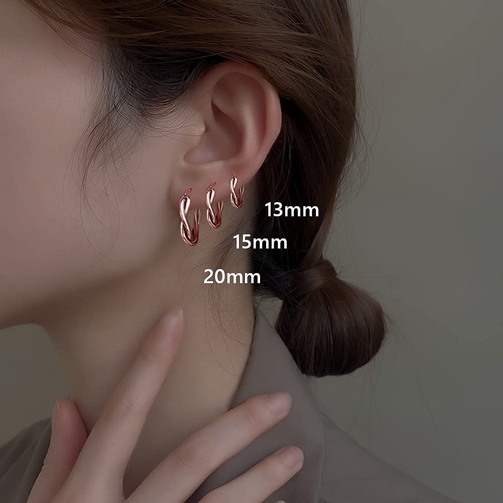 Wynn's 925 Sterling Silver Hoop Earrings for Women - Small Sleeper Hoops Set in Silver, Gold & Rose Gold | Hypoallergenic Twist Design | Perfect for Everyday Wear, Gifts & Special Occasions