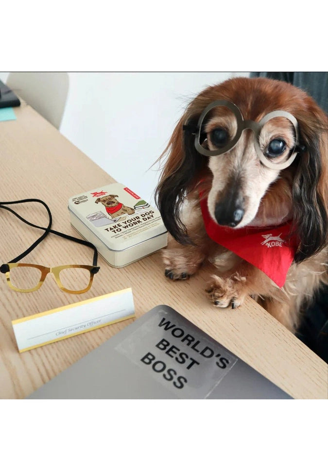 Kikkerland Take Your Dog to Work Day Kit - Fun Office Pet Accessories for Dog Lovers | Perfect for Workplace Celebrations & Pet-Friendly Offices