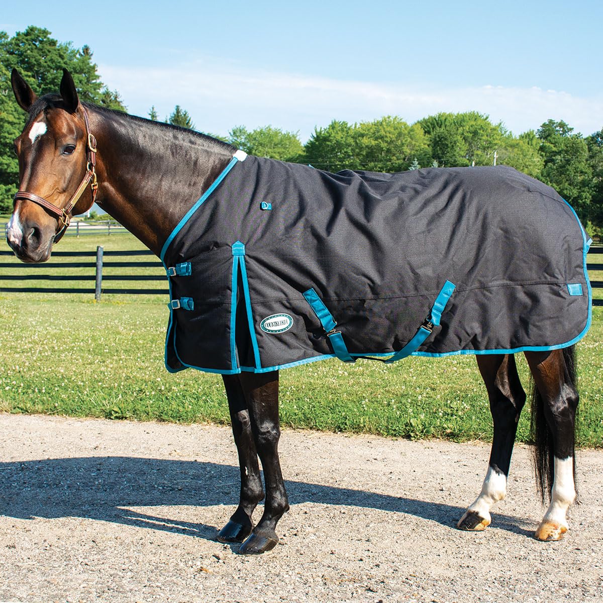 Country Pride Calgary Heavyweight Turnout Blanket for Horses - 68