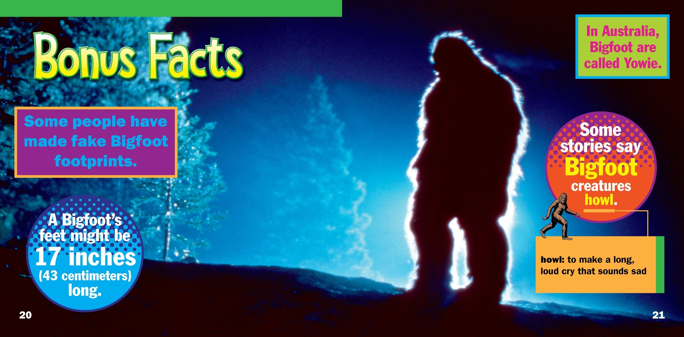 Bigfoot: The Legendary Cryptid - 9781623101756 | Explore Mysteries & Outdoor Adventures
