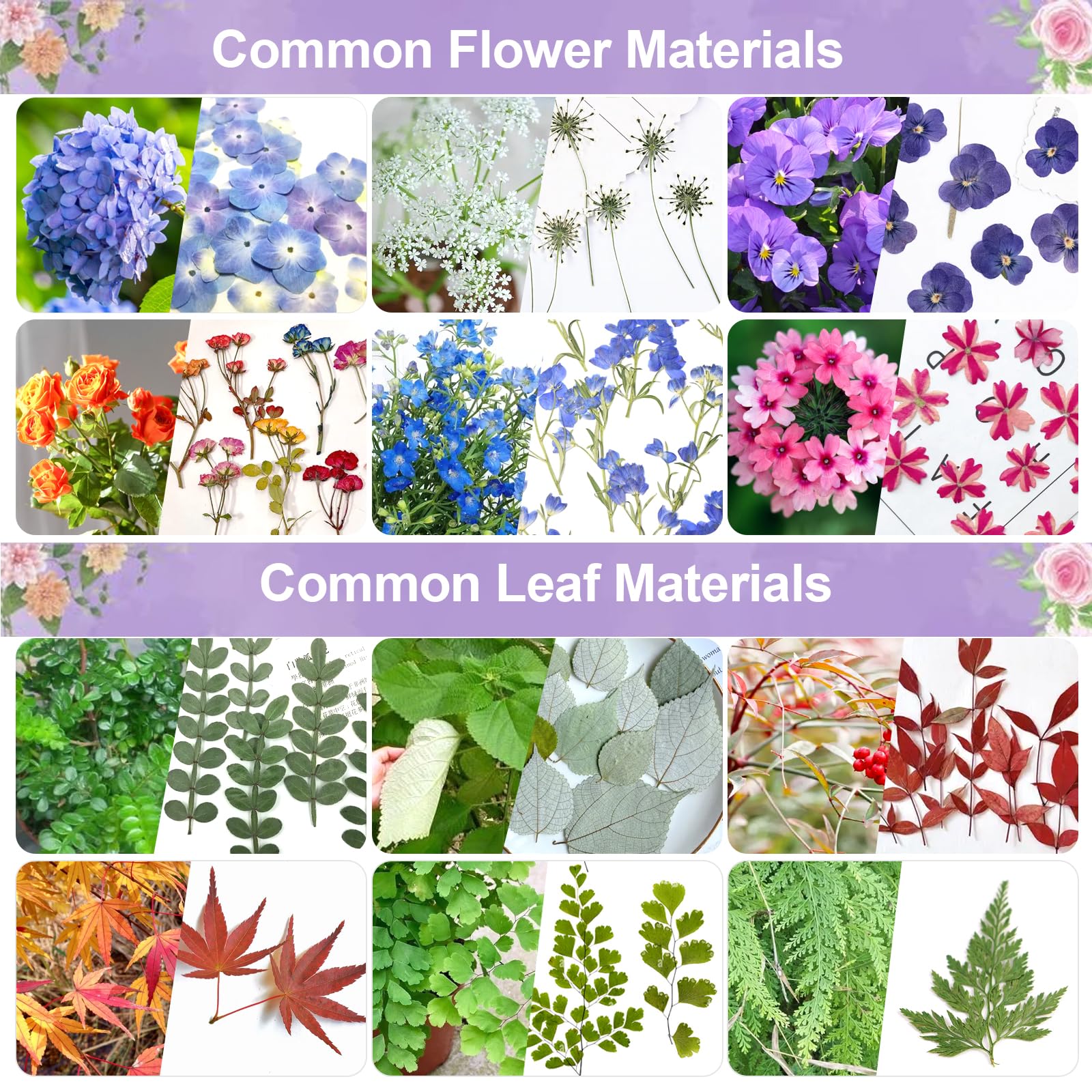 Suziko 10.8 x 6.9 Inch Large Flower Press Kit for Adults & Kids - Botanical Press for Flower & Leaf Preservation - DIY Arts & Crafts Kit - Perfect Gift for Nature Lovers & Crafters - Ideal for Scrapbooking, Home Decor & Nature Projects