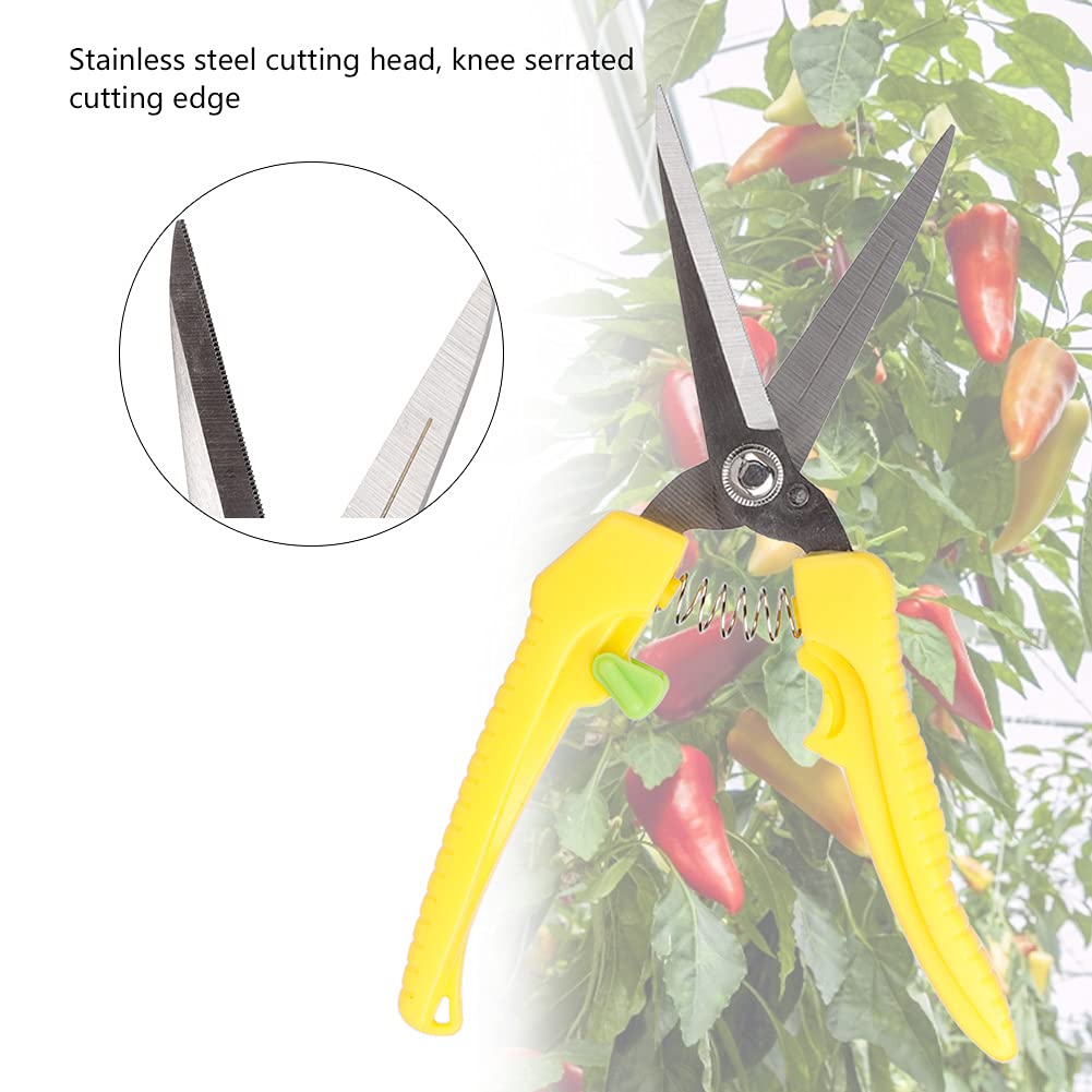 Premium 8-Inch Pruning Shears - Professional Garden Scissors for Plants, Flowers, Bonsai & Fruit Trees - Sharp Stainless Steel Trimming Shears for Gardening, Landscaping & Home Use