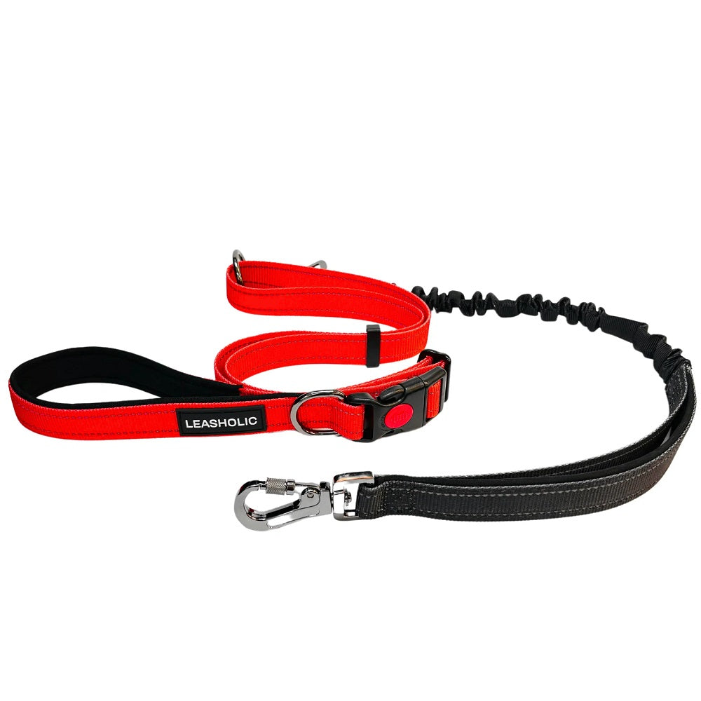 6-in-1 Hands-Free Dog Leash with Pouch & Waste Bag Dispenser - Perfect for Walking, Running, Hiking & Outdoor Adventures with Your Pet