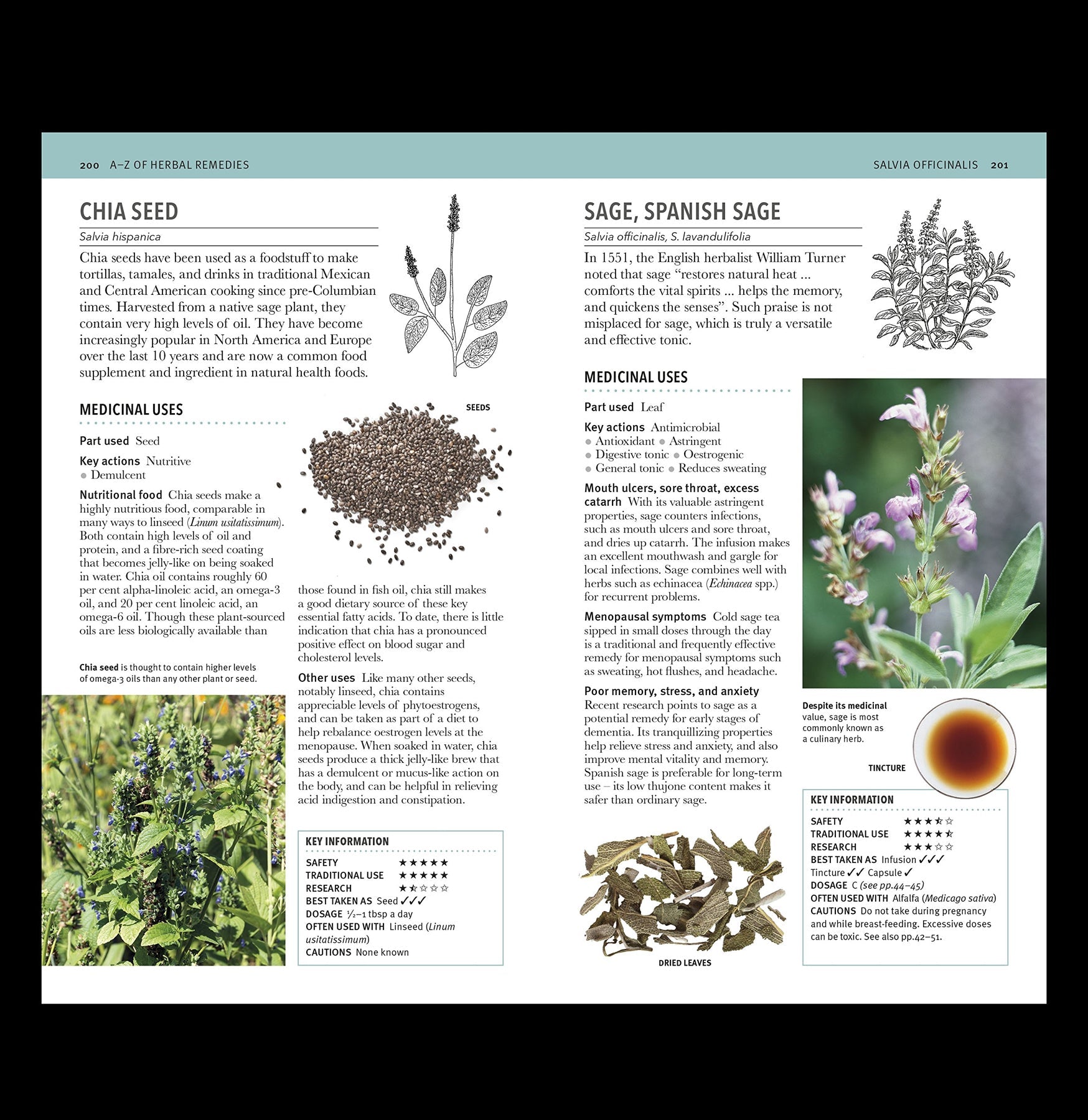 Herbal Remedies Handbook - Natural Healing Guide with Medicinal Plants & Home Remedies for Wellness & Self-Care