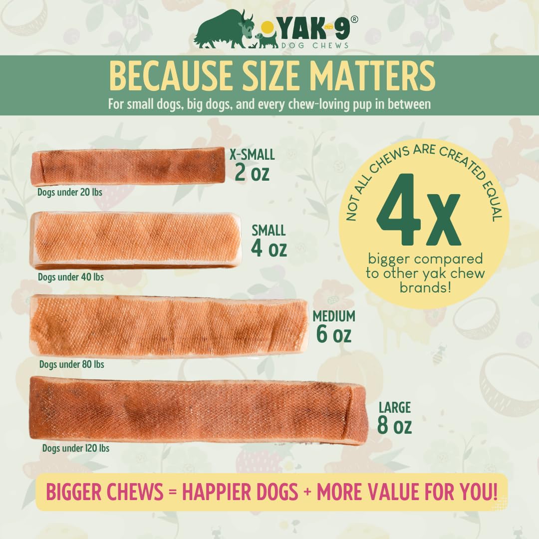 Natural Yak & Cow Milk Cheese Dog Chews - High Protein, Long Lasting Dog Treats with Vitamins & Minerals, Rawhide Free, Medium Size (1 PC) - Perfect for Training Rewards & Dental Health