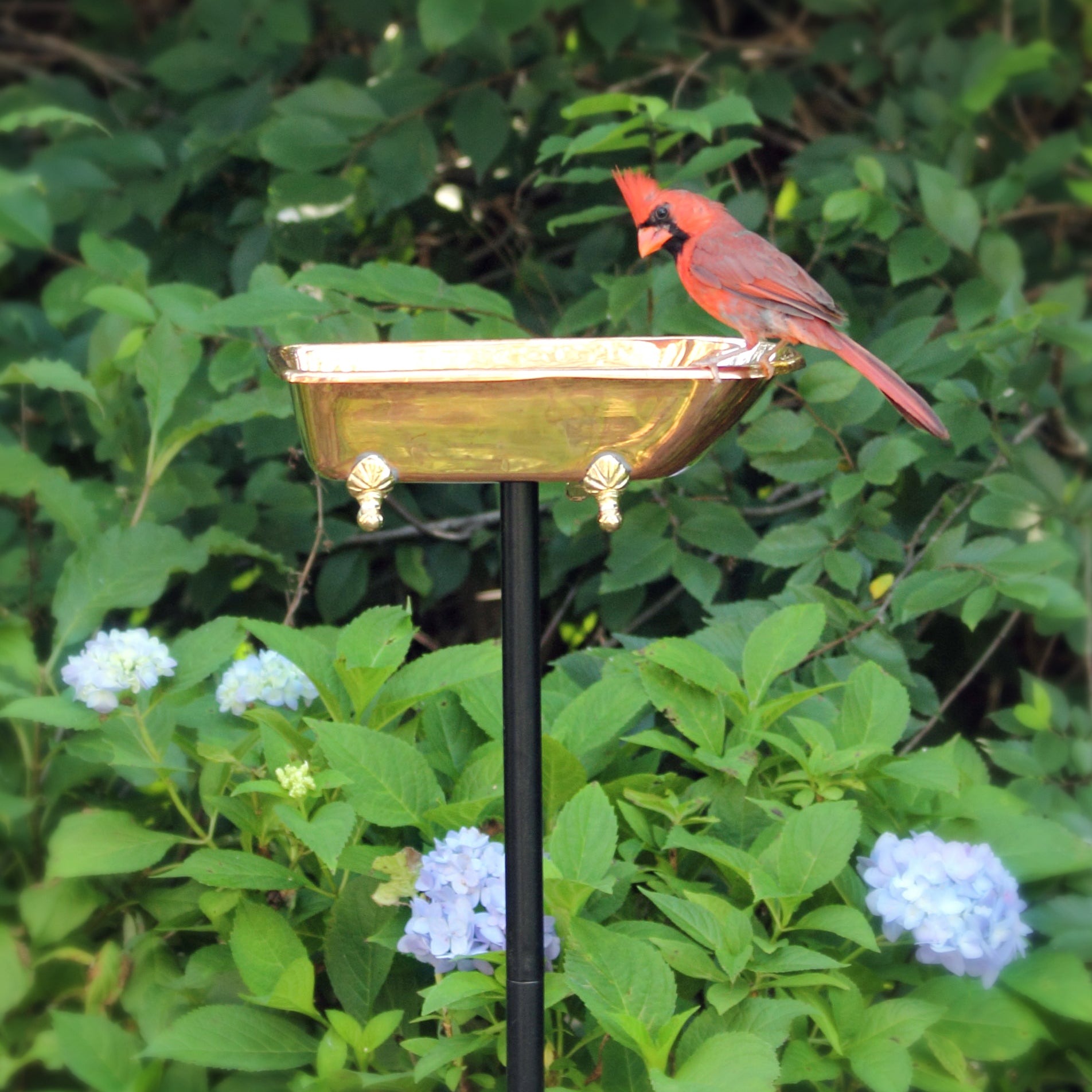 Copper Bird Bath for Garden - Elegant Outdoor Birdbath for Birds to Splash and Drink | Perfect for Backyard, Patio, and Garden Decor