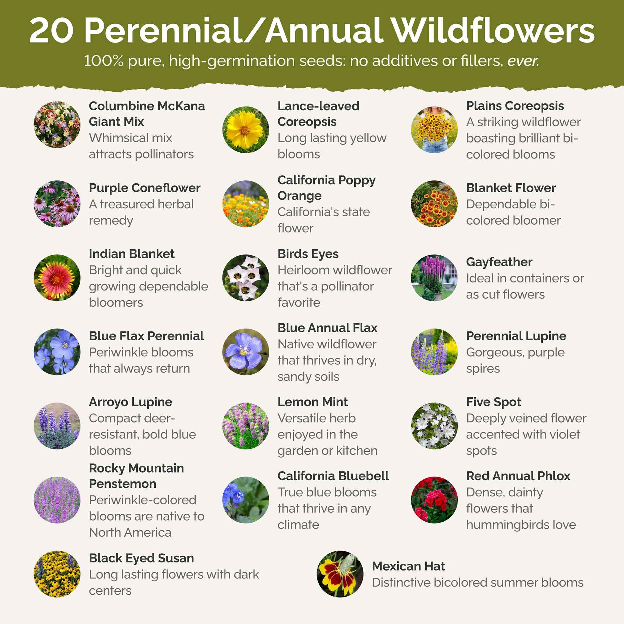 Eden Brothers North American Native Wildflower Seeds Mix - 5 lb (2,400,000+ Seeds) with Bird's Eyes & Lupine - Attracts Pollinators, Bees & Butterflies - Perfect for Spring or Fall Planting in USDA Zones 3-10 - Ideal for Gardens, Meadows & Landscaping