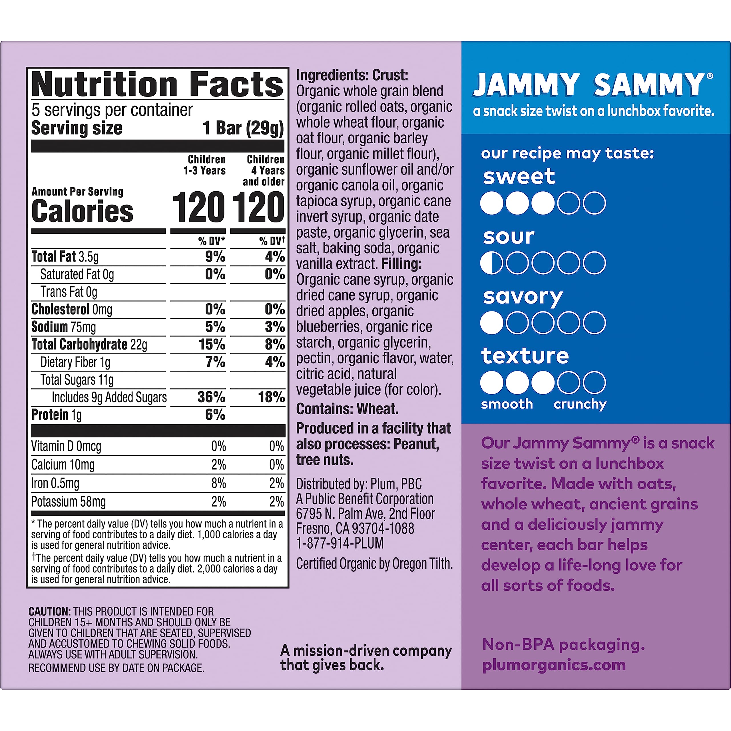 Organic Blueberry Oatmeal Toddler Snack Bars - Pack of 5 for On-the-Go Nutrition