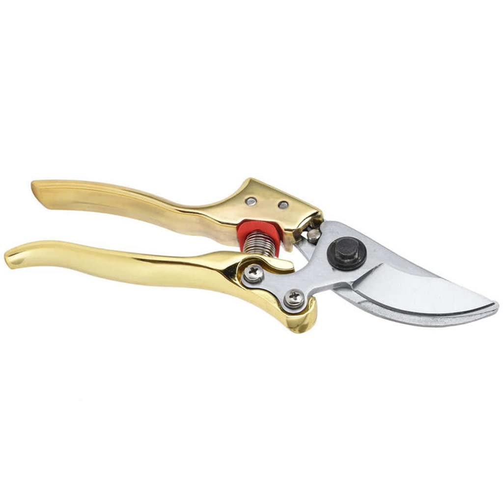 Premium Gardening Pruning Shears - Sharp Bypass Pruner for Branch Trimming, Home Garden, Floral Arrangement & Landscaping | Ergonomic Hand Tool for Easy Cutting & Pruning